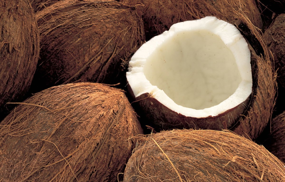گرانولا نارگیلی مزرعه روغن