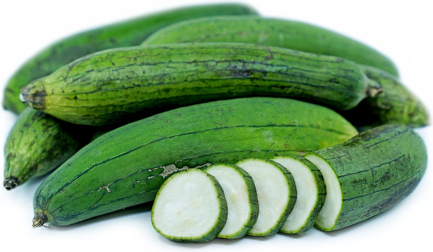 لوفا چیست