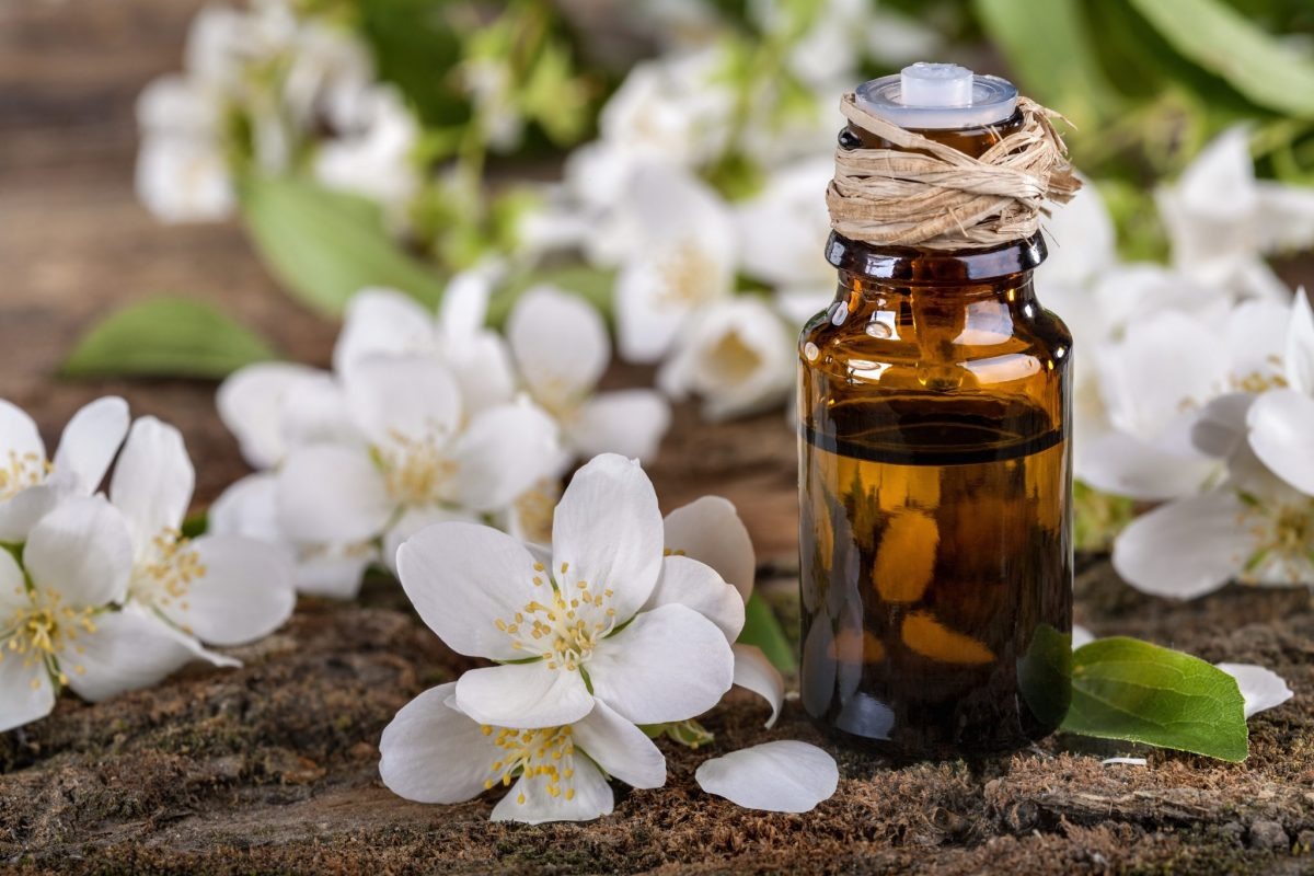 خرید روغن گل یاس