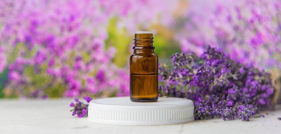 خرید روغن بنفشه اعلا