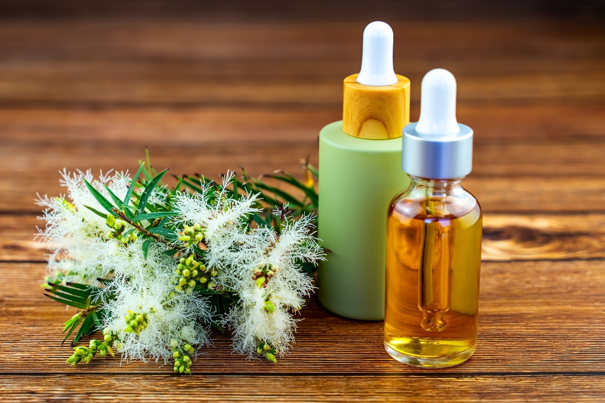 خرید روغن درخت چای اصل