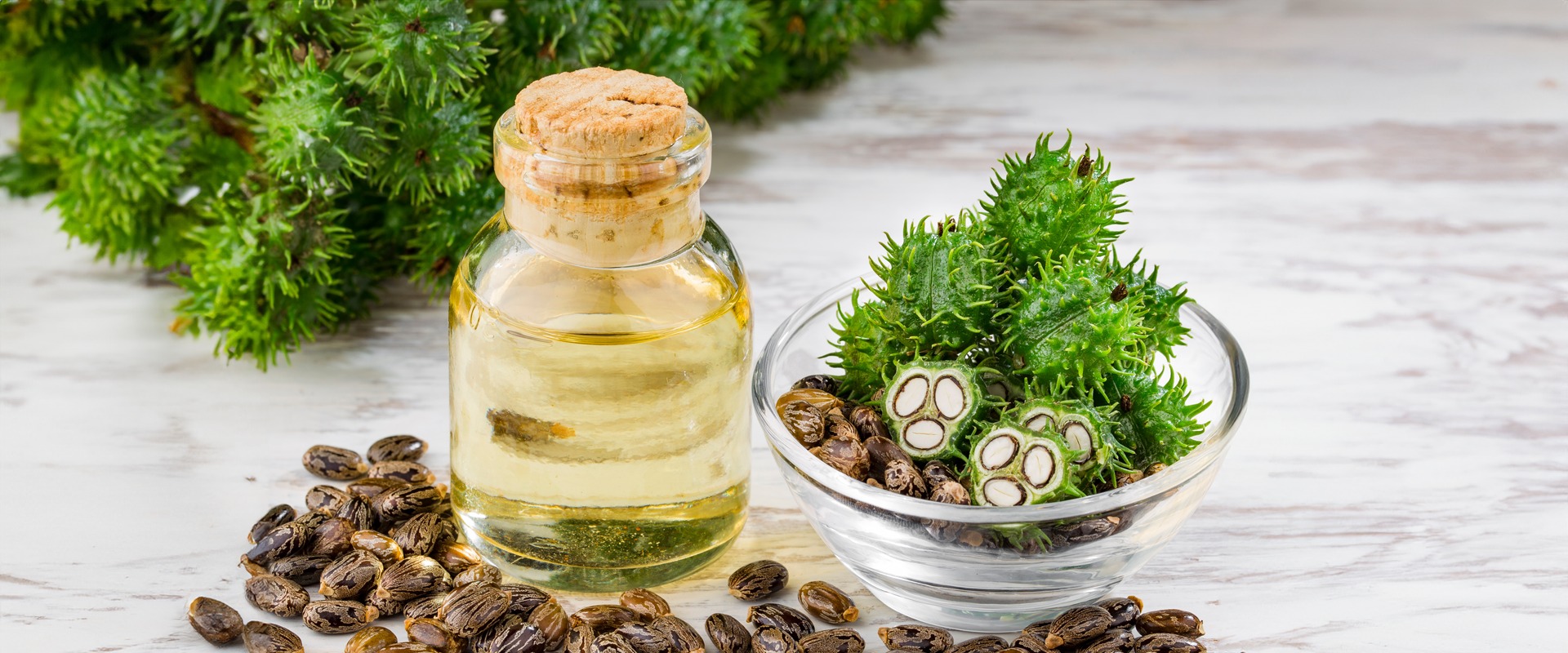 روغن کرچک ارگانیک
