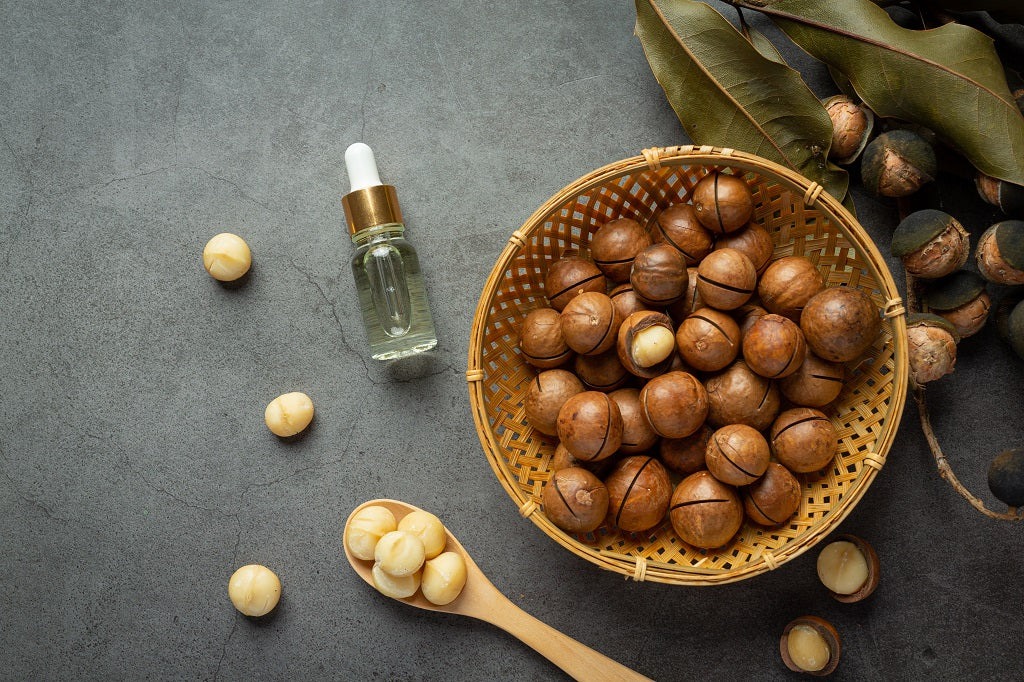 روغن ماکادمیا مشهد