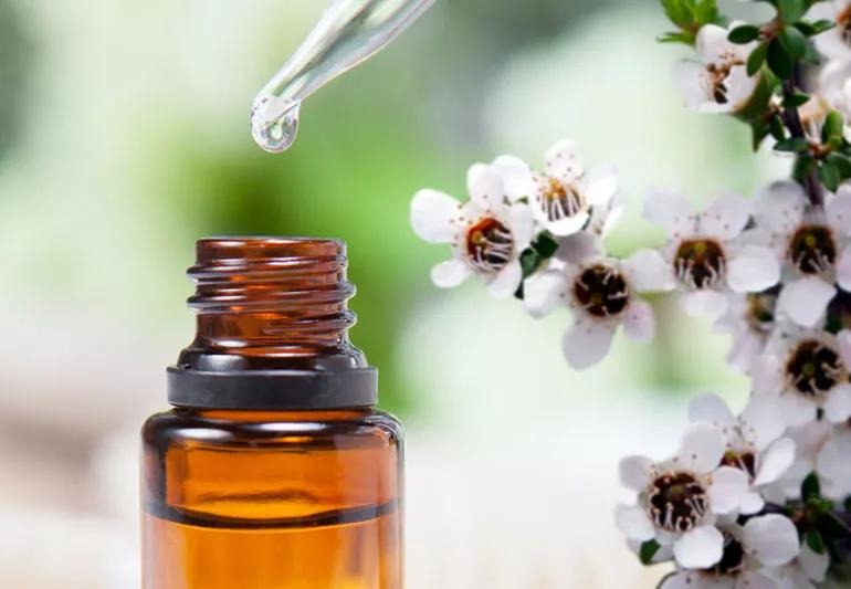 فواید روغن درخت چای 